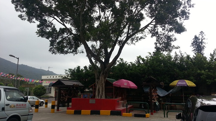 20130325_141353.jpg