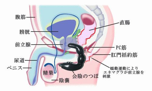 T29OFeXdry4JNXXXXX_!!52675735.jpg