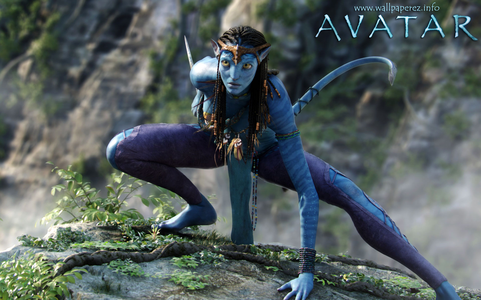 Avatar-1920X1200_020.jpg