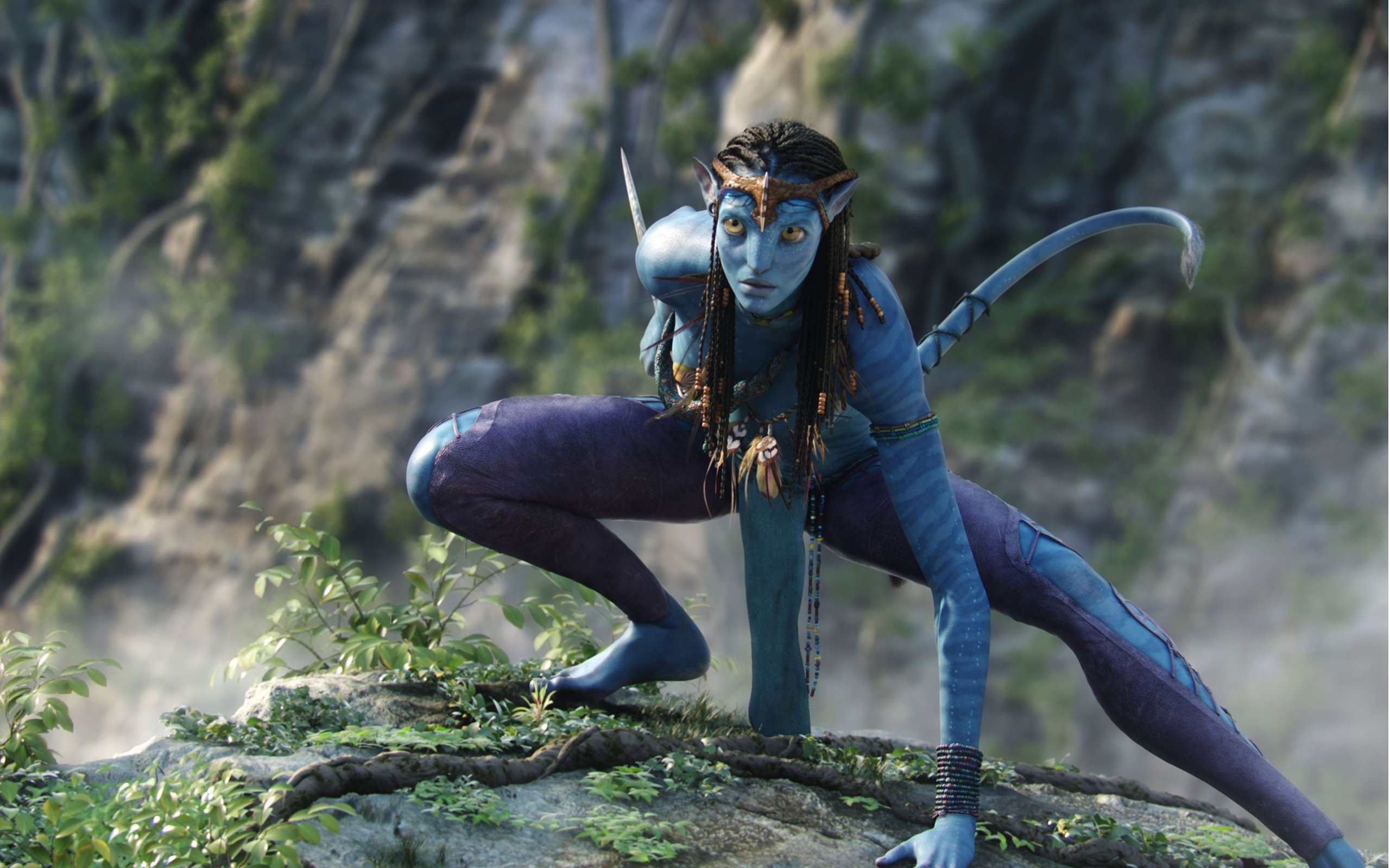 Avatar-2560X1600_018.jpg